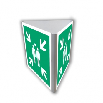 AE807 Miejsce zbiórki do ewakuacji (3D dościenny fotoluminescencyjny)