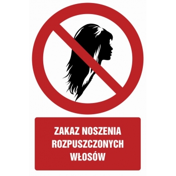 Znak Zakaz noszenia rozpusczczonych włosów płyta sztywna PCV GC085