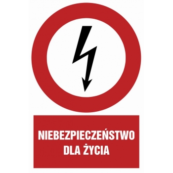 Znak Niebezpieczeństwo dla życia płyta sztywna PCV HC001
