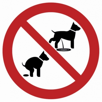 Znak Zakaz wyprowadzania psów płyta sztywna PCV NC028