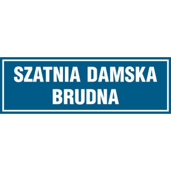 PA298 Szatnia damska brudna